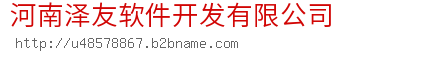 河南泽友软件开发有限公司