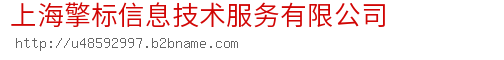 上海擎标信息技术服务有限公司