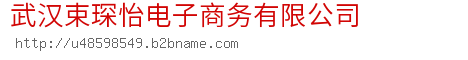 武汉束琛怡电子商务有限公司