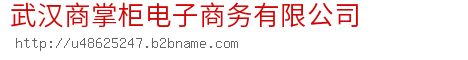 武汉商掌柜电子商务有限公司